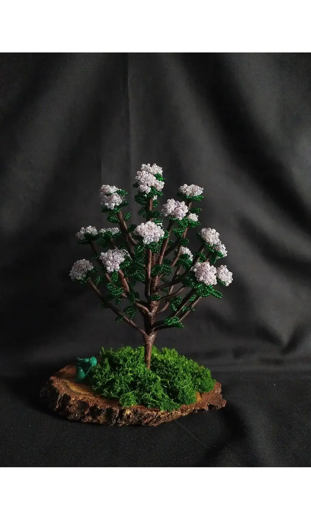 Rhododendron avec arrosoir