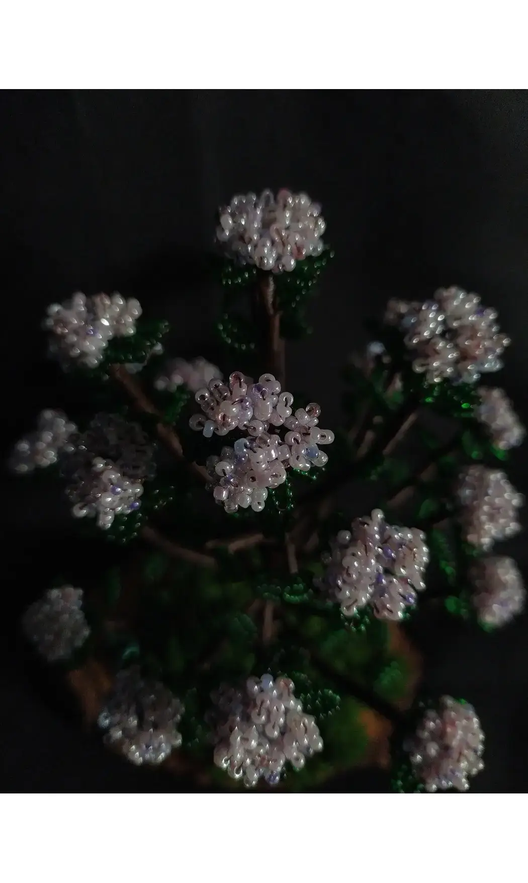 Rhododendron avec arrosoir