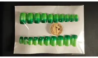Press on Nails Vert dégradé - Lot 20