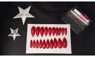 Press on nails Étoile argent - Lot 20
