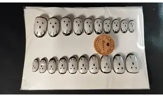 Press on nails Fantômes - Lot 20