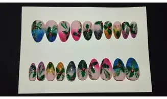 Press on Nails Houx strass - Lot 20