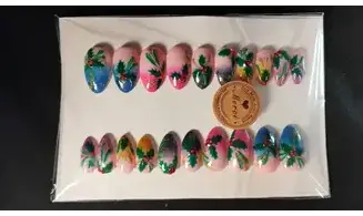 Press on Nails Houx strass - Lot 20