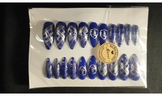 Press on nails Serdaigle HP - Lot 20
