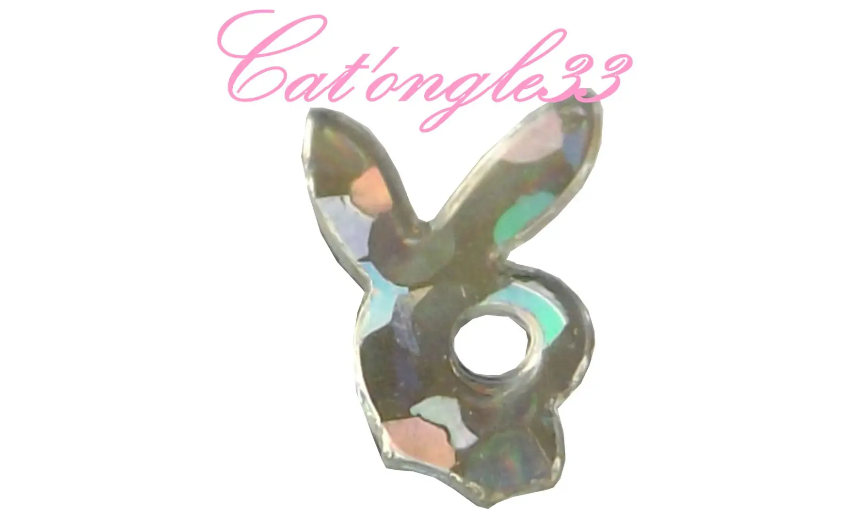 Dazzling hologramme lapin argent
