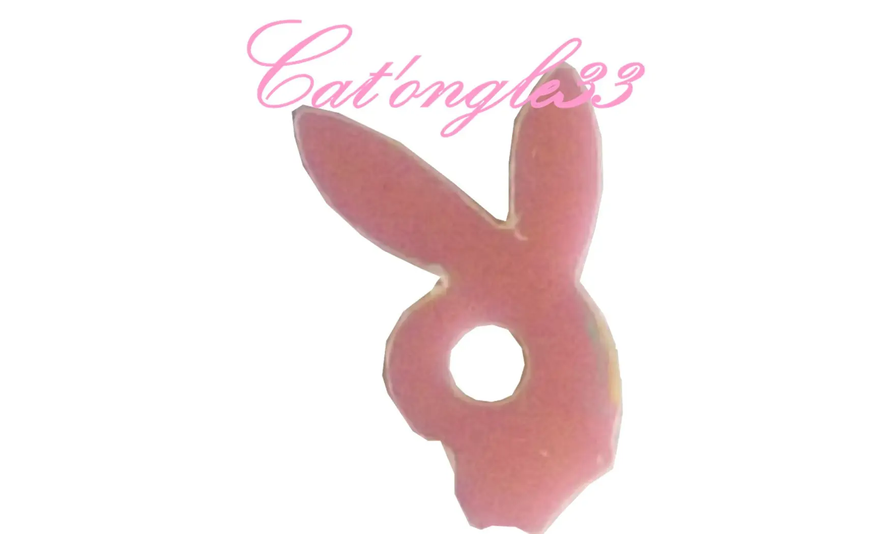 Dazzling hologramme lapin saumon
