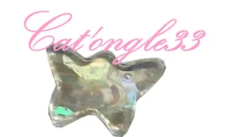Dazzling hologramme papillon argent