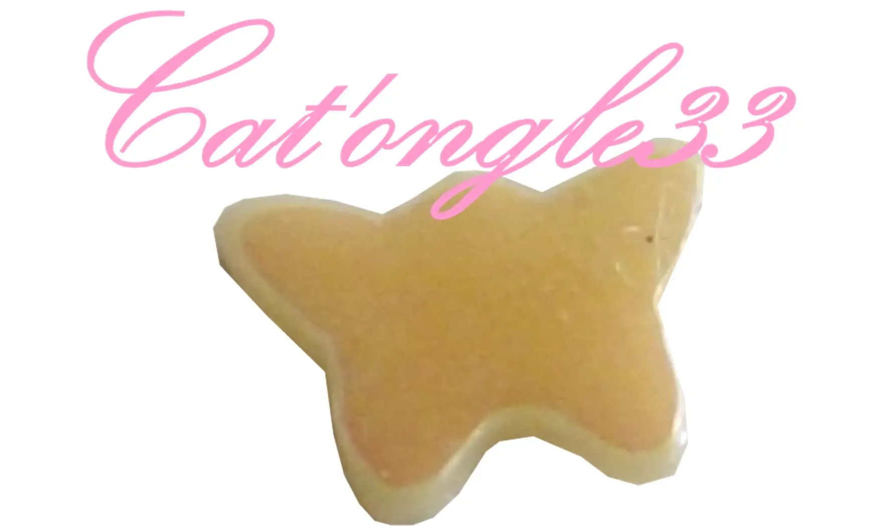 Dazzling hologramme papillon saumon