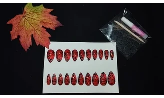 Press on nails Papillon - Lot 20
