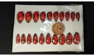 Press on nails Papillon - Lot 20