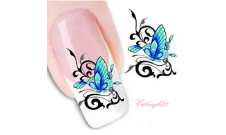 Water decal papillon turquoise BLE1398