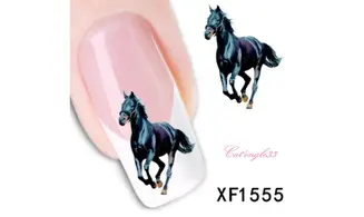 Water decal animaux cheval XF1555