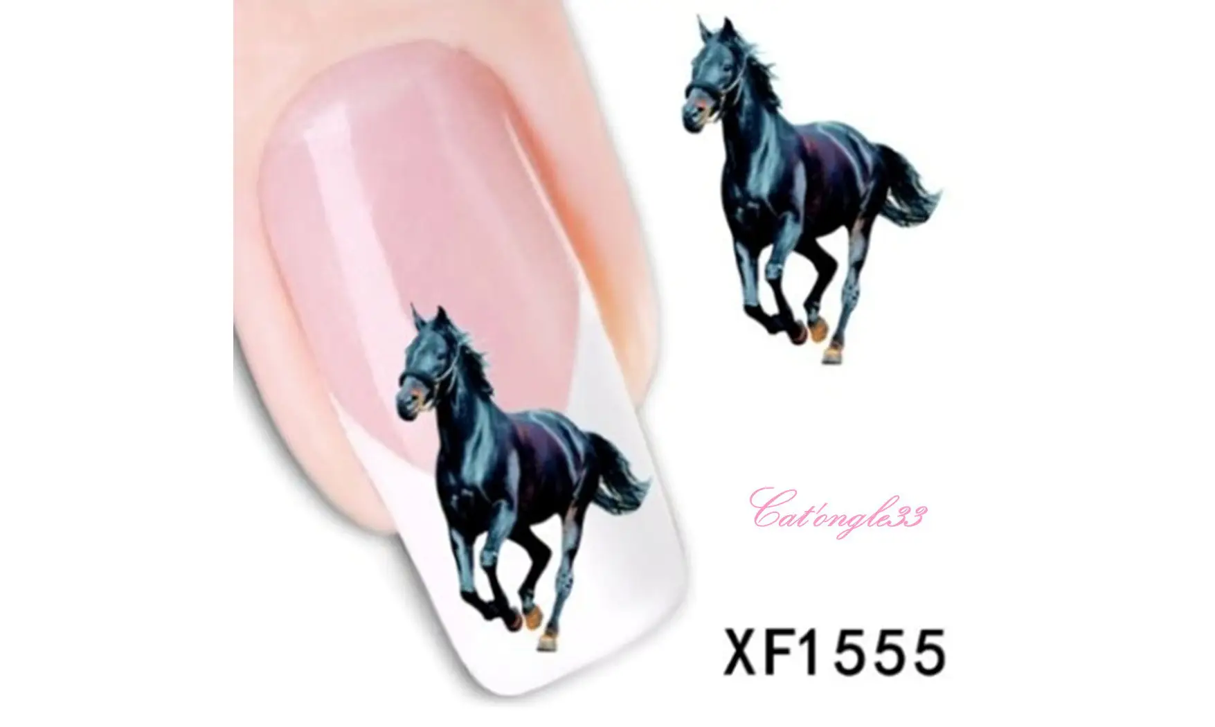 Water decal animaux cheval XF1555