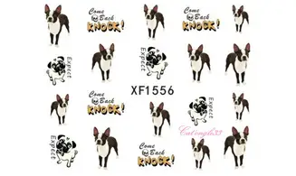 Water decal animaux chien XF1556
