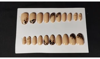 Press on Nails Nude Serpent - Lot 20