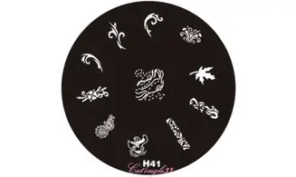 Plaque stamping H41 ronde nail art