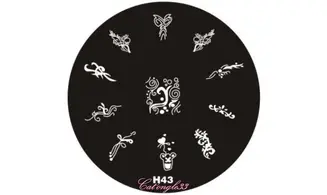 Plaque stamping H43 ronde nail art
