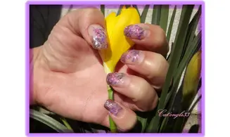 Fleurs séchées parme